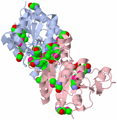 Image Biological Unit 3