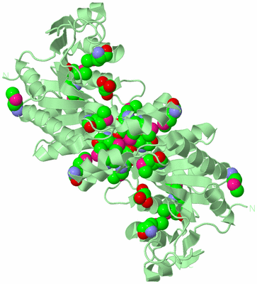 Image Biological Unit 4