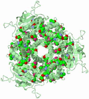 Image Biological Unit 5