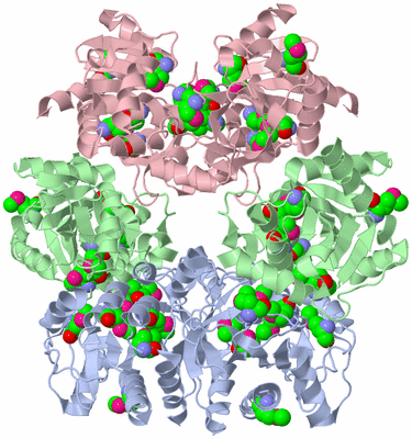Image Biological Unit 2