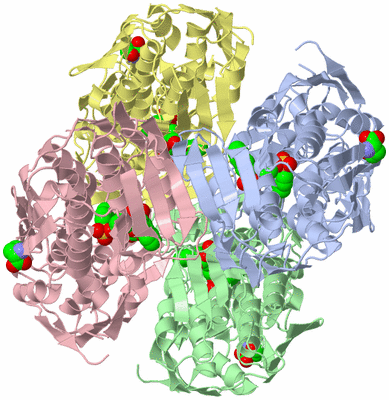 Image Asym./Biol. Unit