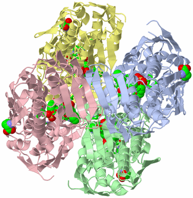 Image Asym./Biol. Unit - sites