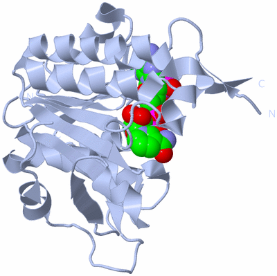 Image Biological Unit 1