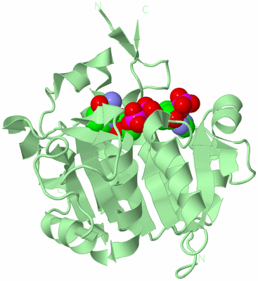 Image Biological Unit 2