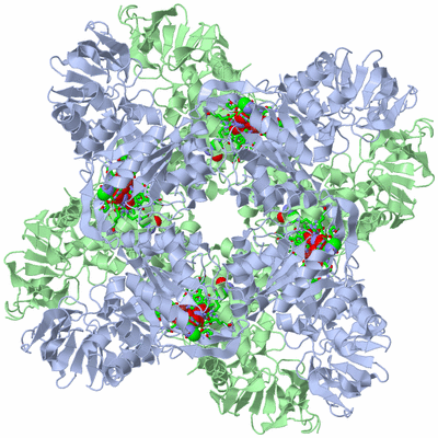 Image Biol. Unit 1 - sites