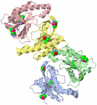 Image Asymmetric Unit