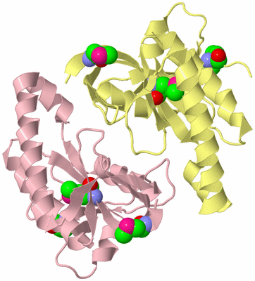 Image Biological Unit 2