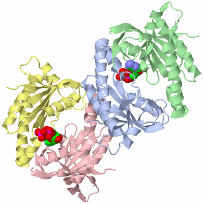 Image Asymmetric Unit