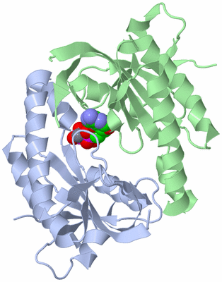 Image Biological Unit 1