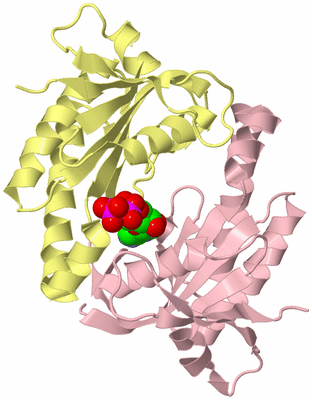 Image Biological Unit 2