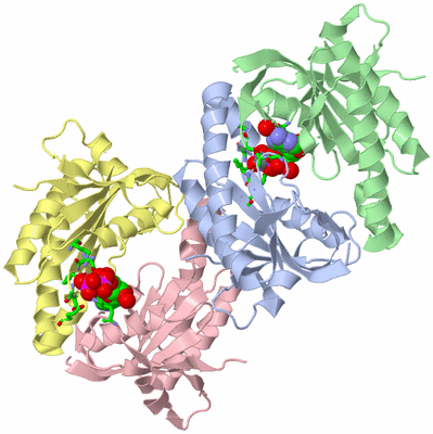 Image Asym. Unit - sites