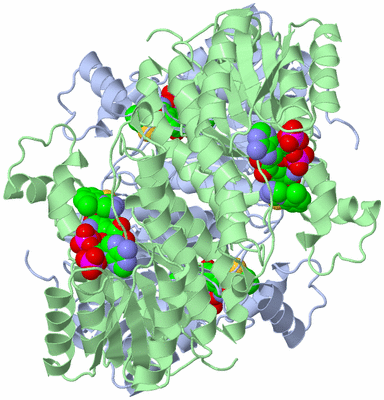 Image Biological Unit 1