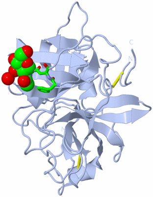 Image Biol. Unit 1 - sites