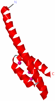 Image Asymmetric Unit