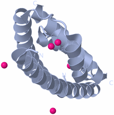 Image Biological Unit 2