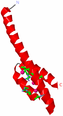 Image Asym. Unit - sites