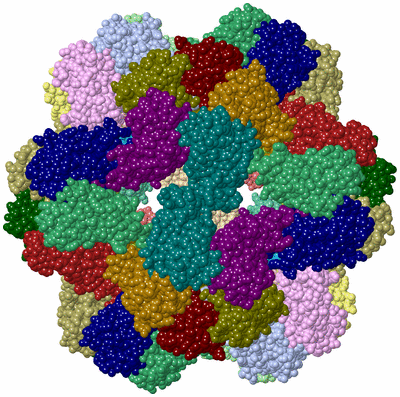 Image Biological Unit 1