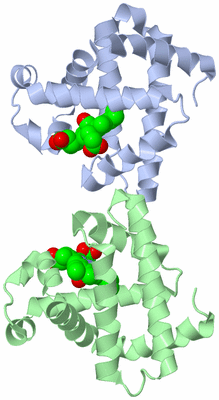 Image Asymmetric Unit