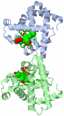 Image Asym. Unit - sites