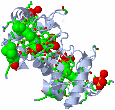 Image Biol. Unit 1 - sites