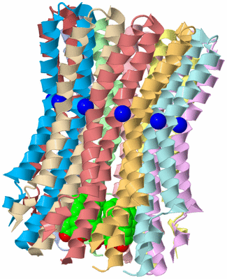 Image Biological Unit 1