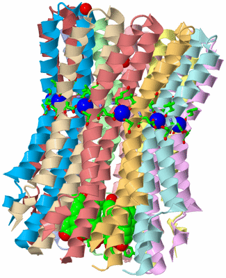 Image Biol. Unit 1 - sites