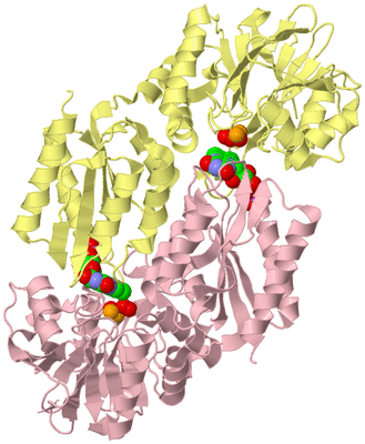 Image Biological Unit 2