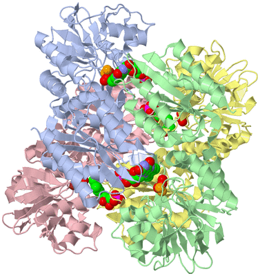 Image Biological Unit 3