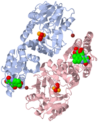 Image Biological Unit 4