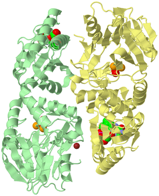 Image Biological Unit 5