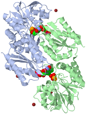 Image Biological Unit 1