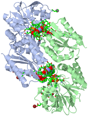 Image Biol. Unit 1 - sites