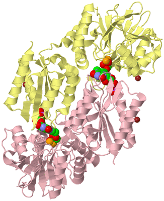 Image Biological Unit 2