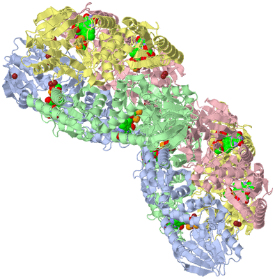 Image Biological Unit 3