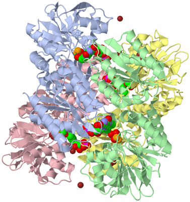 Image Biological Unit 5