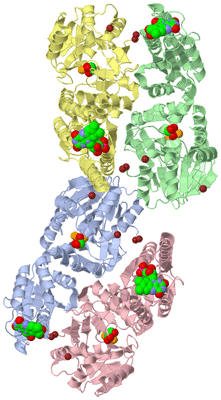 Image Biological Unit 6