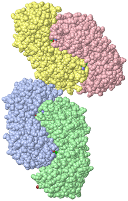 Image Biological Unit 7