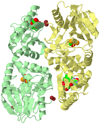 Image Biological Unit 8