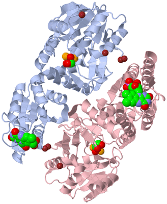 Image Biological Unit 9