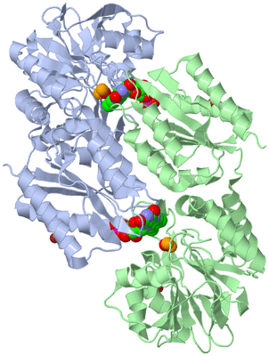 Image Biological Unit 1