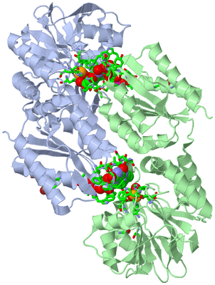 Image Biol. Unit 1 - sites