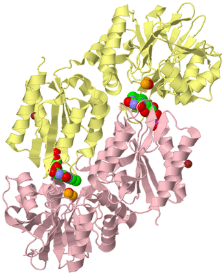 Image Biological Unit 2