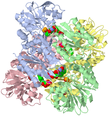 Image Biological Unit 3