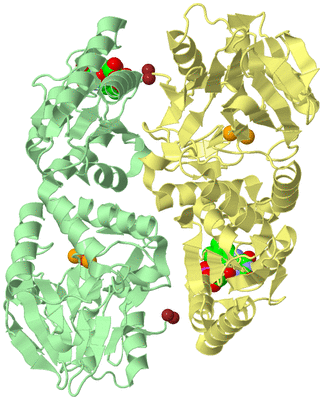 Image Biological Unit 4