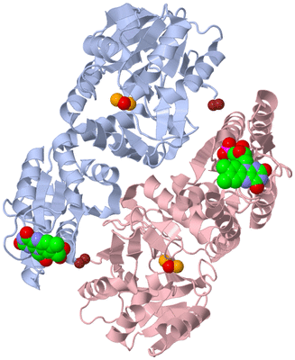 Image Biological Unit 5