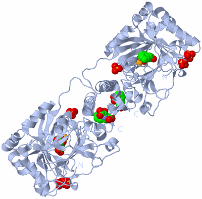 Image Biological Unit 1