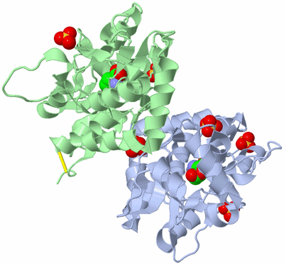 Image Asym./Biol. Unit