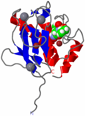 Image NMR Structure - model 1