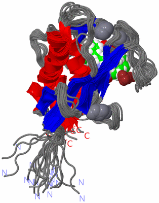 Image NMR Structure - all models