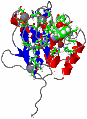 Image NMR Structure - model 1, sites